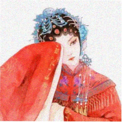小编白鸽信使头像